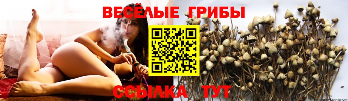 Галлюциногенные грибы GOLDEN TEACHER  Псилоцибиновые грибы ЛСД  Вход с VPN  Гуково 